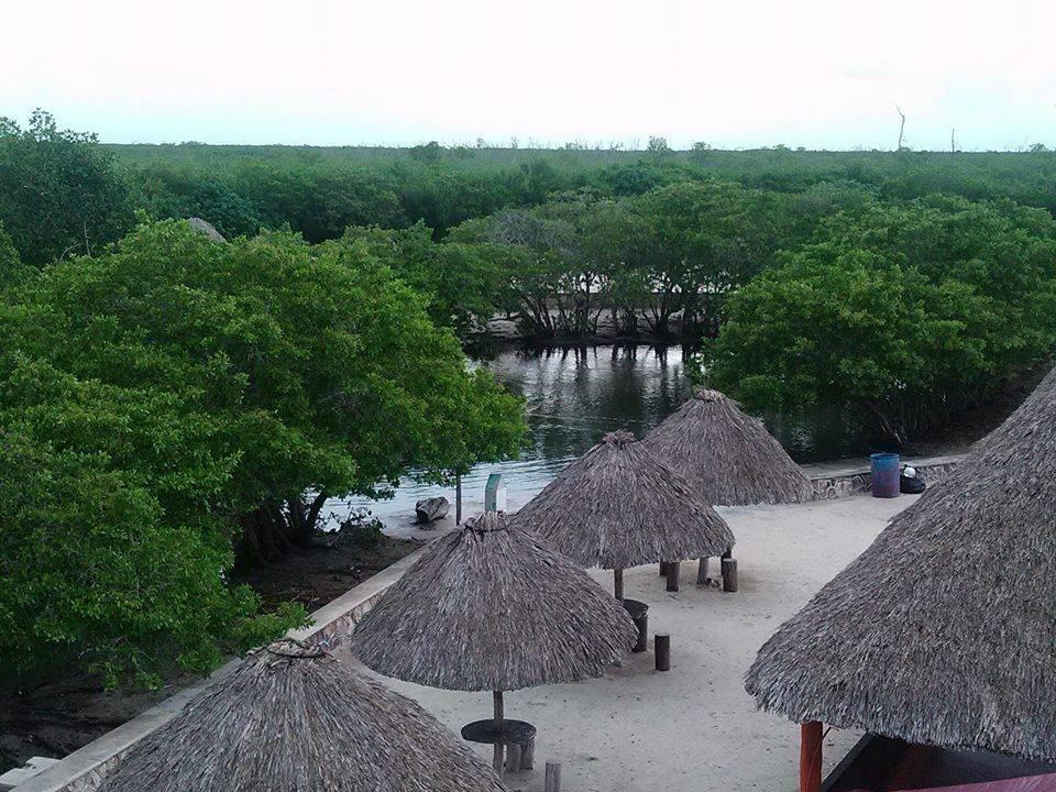 Casa Laguna Lagartos Hotel Río Lagartos Eksteriør billede